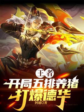 王者五排养猪流