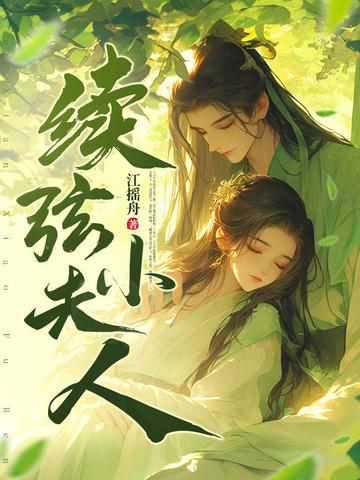 续弦小夫人免费阅读全文