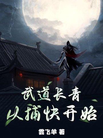 武道从技能面