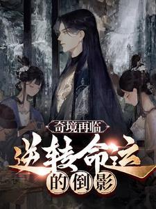 奇境怎么样