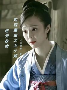 知否之卫娘子同人文