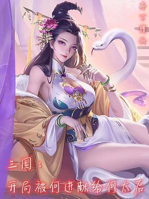 三国之何进