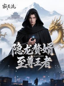 狂龙赘婿百度百科