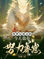 穿成恶毒夫郎养家记33章