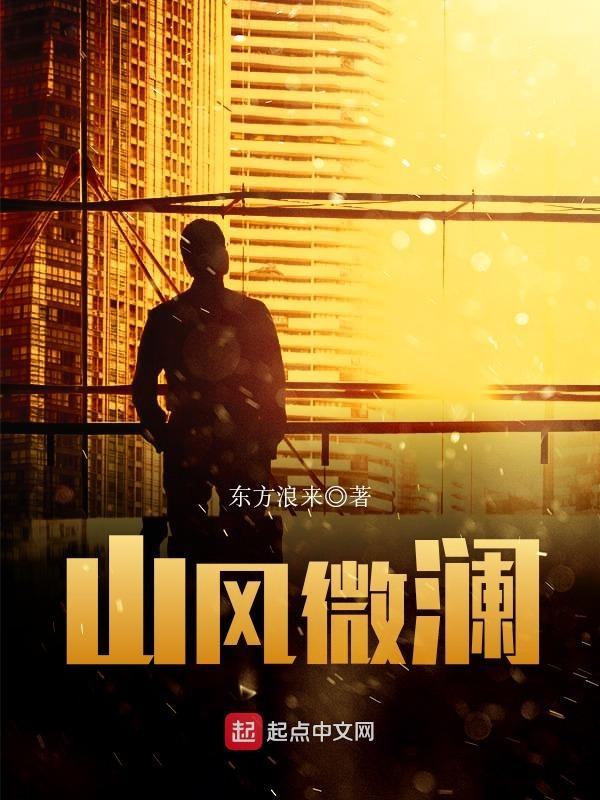 山风为岚是什么意思