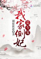 我家侧妃是专宠完整