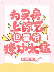 男主角叫霍爷