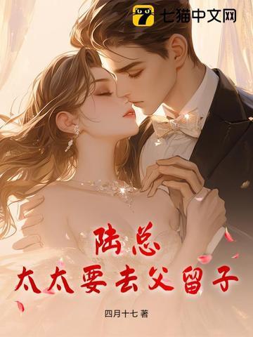 陆太太复