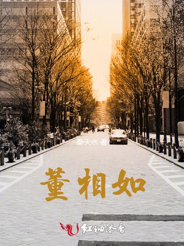 董相如郸城