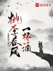 桃李春风一杯酒 江湖夜雨十年灯翻译