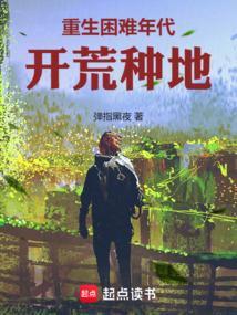 重生之困难年代
