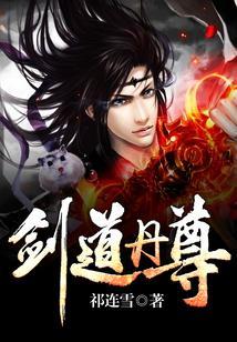 剑道丹尊林云一一无错