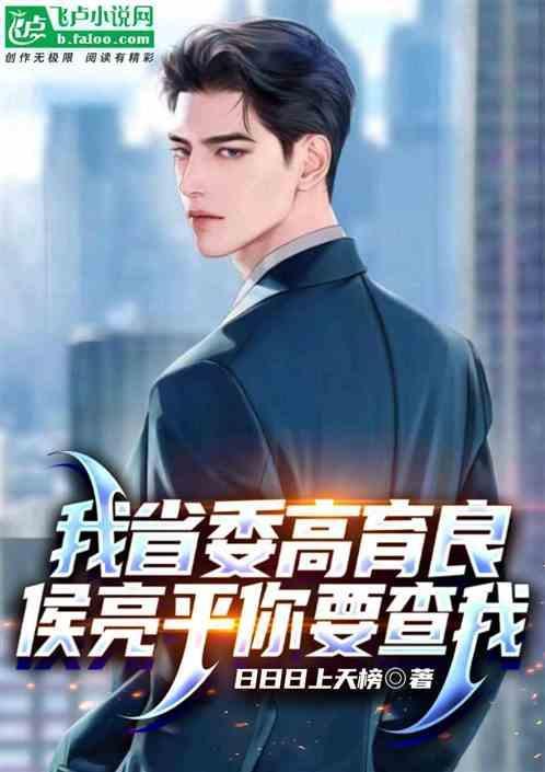 侯亮平你要查我TXT