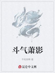 萧炎斗气化翼惊呆众人