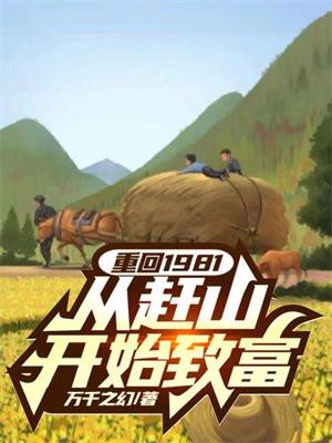 1981回到