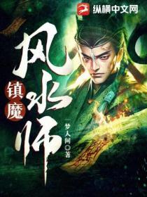 镇国风水师李风舞