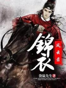 锦衣录书评