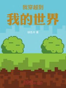 我穿越到我的世界里