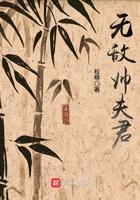 无敌帅是什么意思