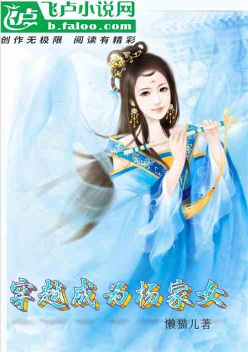 穿越成杨家将的一本