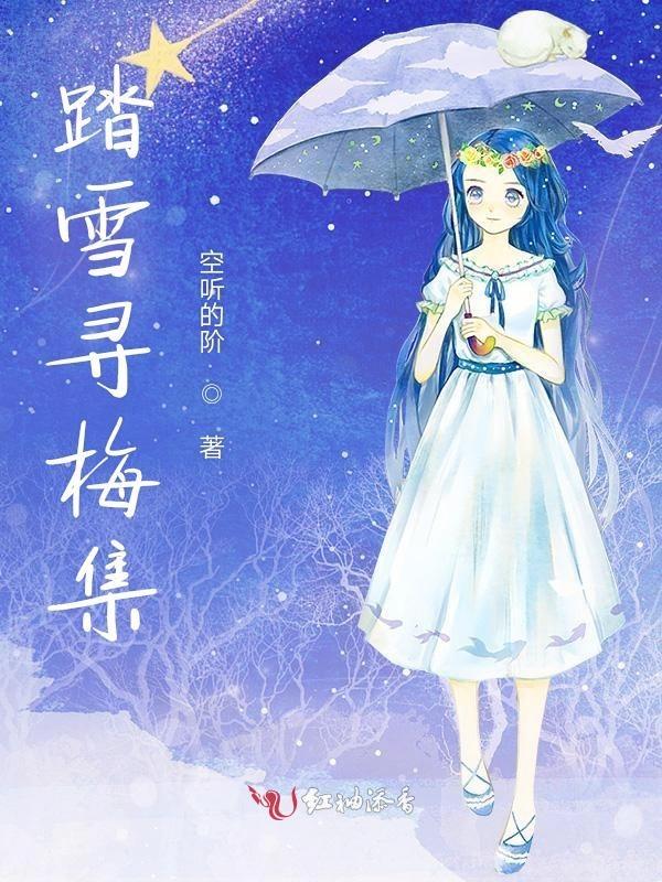 踏雪寻梅是谁?