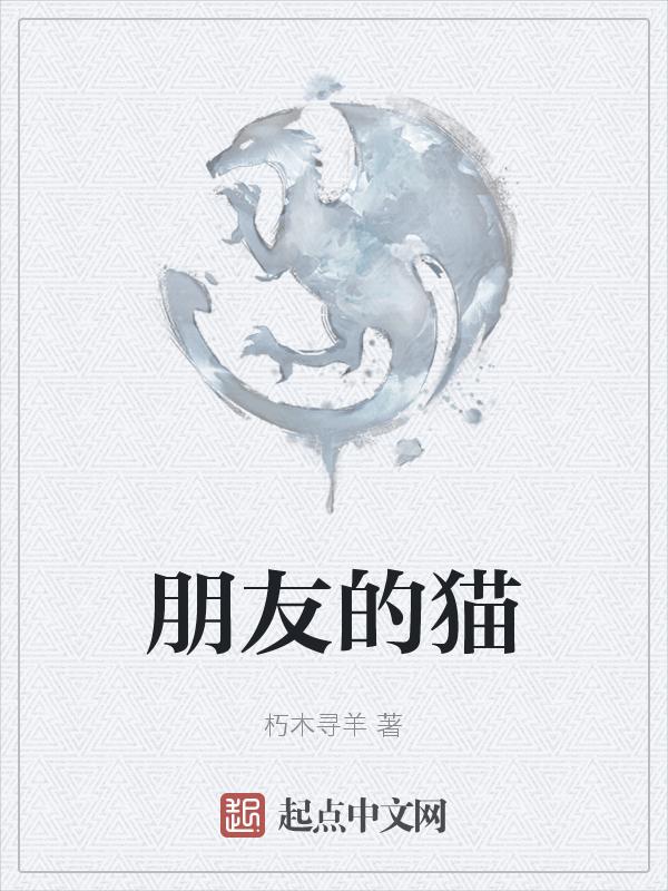 朋友的猫一直盯着我看