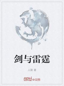 剑与家园雷霆力场