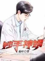 妙手赘婿