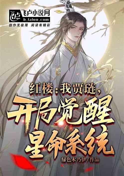 红楼我是贾琏他哥归