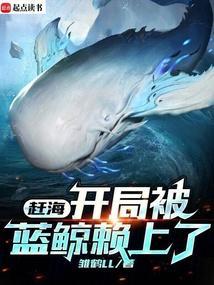 赶海系统流