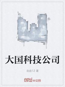 大国科技公司排名
