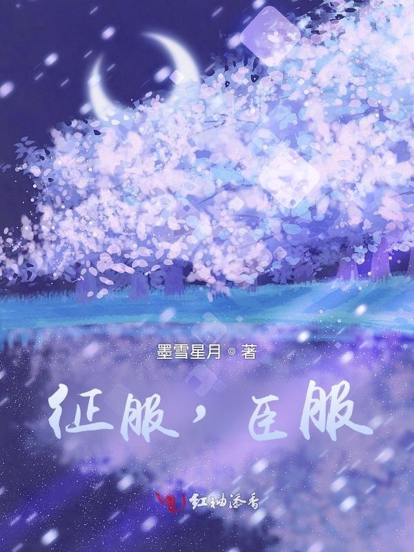 征服是什么意思?