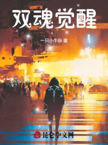 双魂共鸣