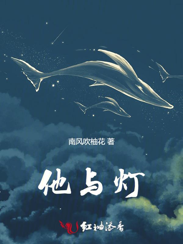 他与灯的全部