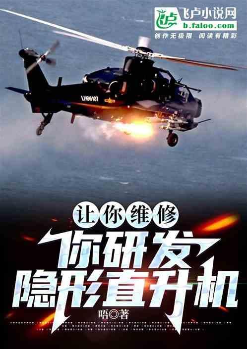 美国隐形武装直升机
