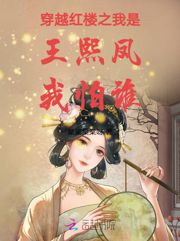 穿越红楼之王熙凤百科