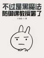 不过是黑魔法防御课教授罢了番外