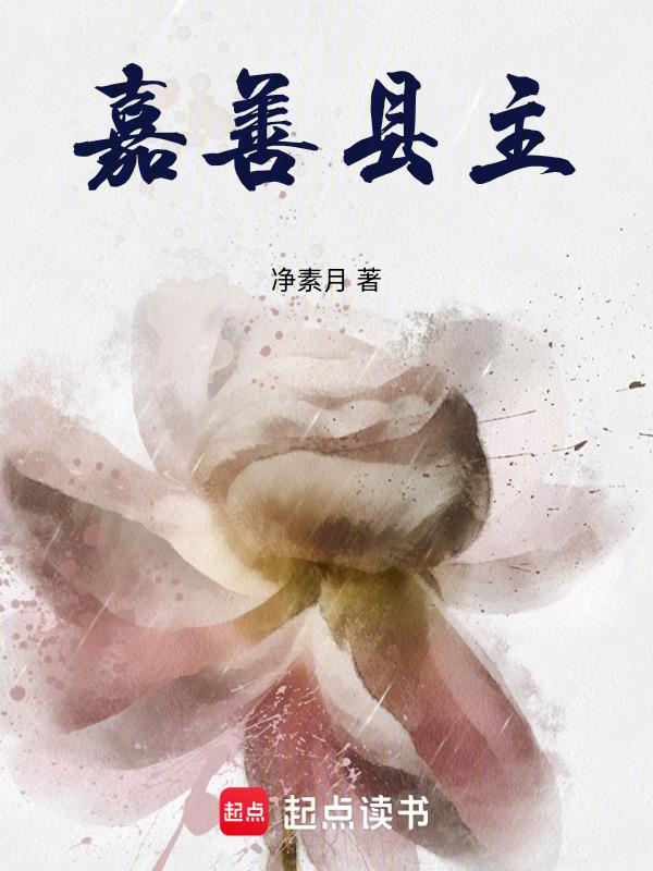 嘉善 县