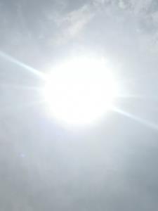谢家子弟是什么意思