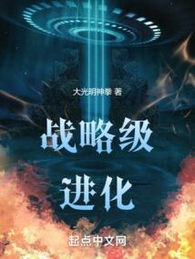 战略级别是什么意思