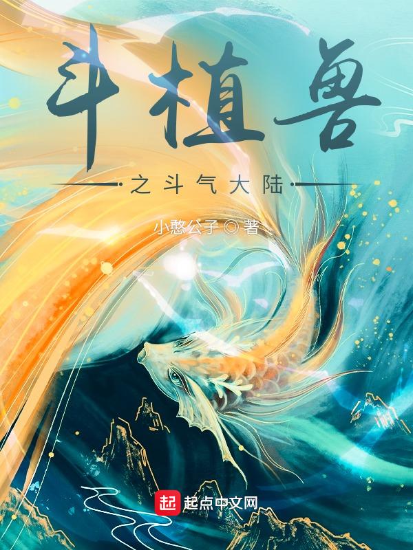 斗气大陆中州