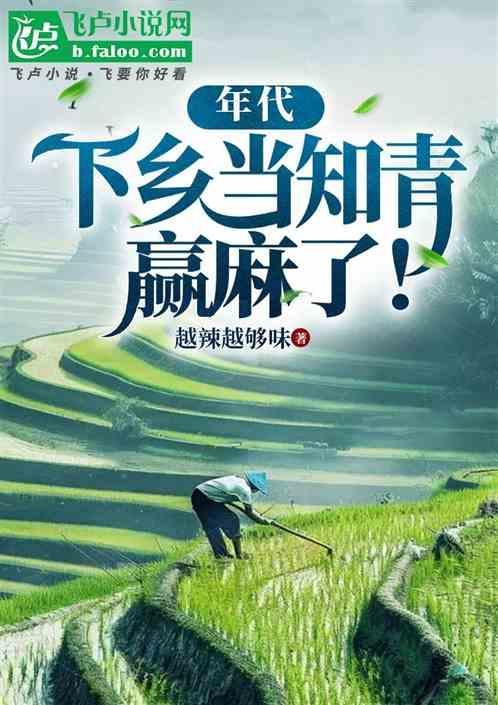 知青下乡年代文