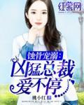 蚀骨宠爱 狼性总裁莫贪欢