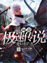 电视剧极速传说