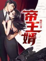 帝王婿免费