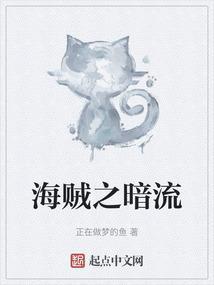 海贼之黑暗