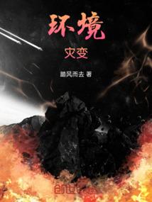 环境灾难事件