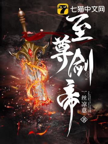至尊剑帝全本